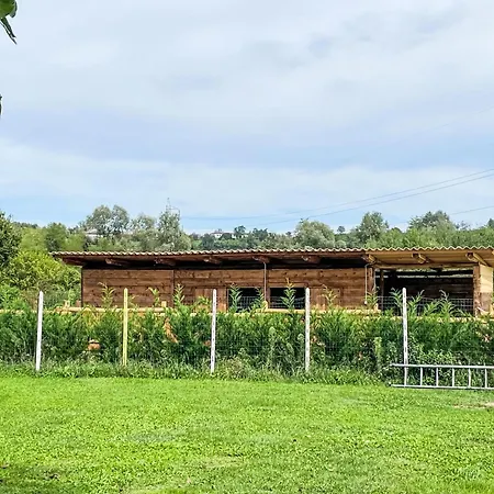 Viola By Interhome 公寓 *