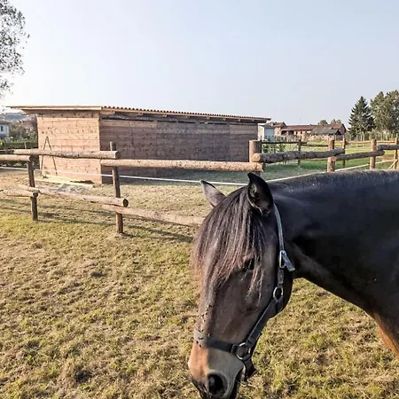 Viola By Interhome * CastellʼAlfero