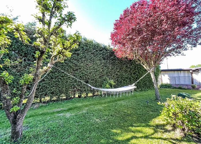 Appartement Viola By Interhome *