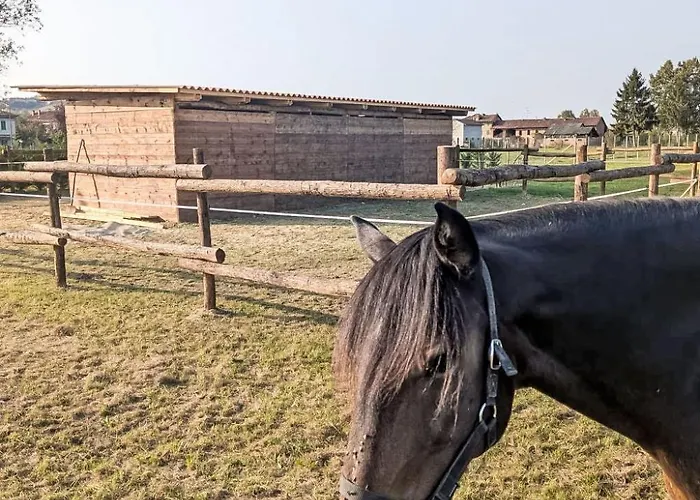 Viola By Interhome * CastellʼAlfero