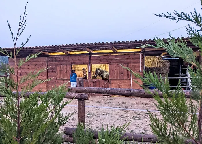 Viola By Interhome Appartement *